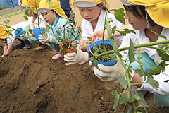 子どもたちの様子